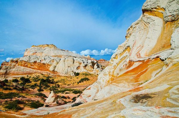 Friel, Bernard 아티스트의 USA-Arizona-Vermilion Cliffs National Monument White Pocket작품입니다.